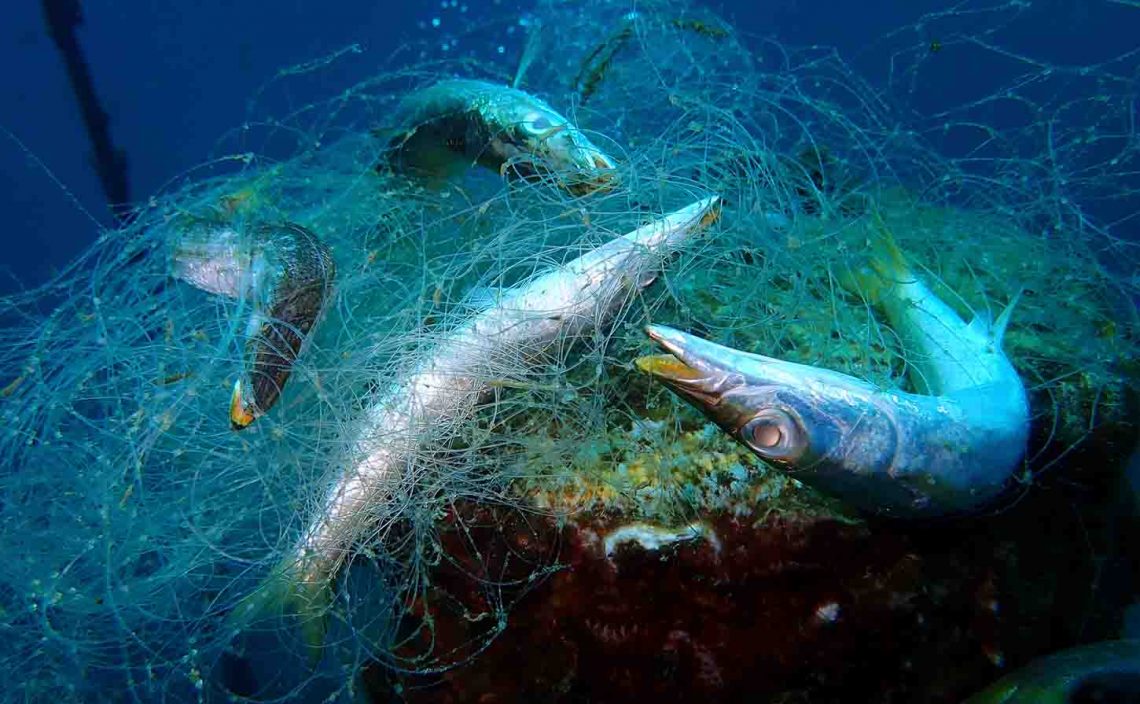 「ゴースト」から海洋生物を守る、ボランティアダイバー